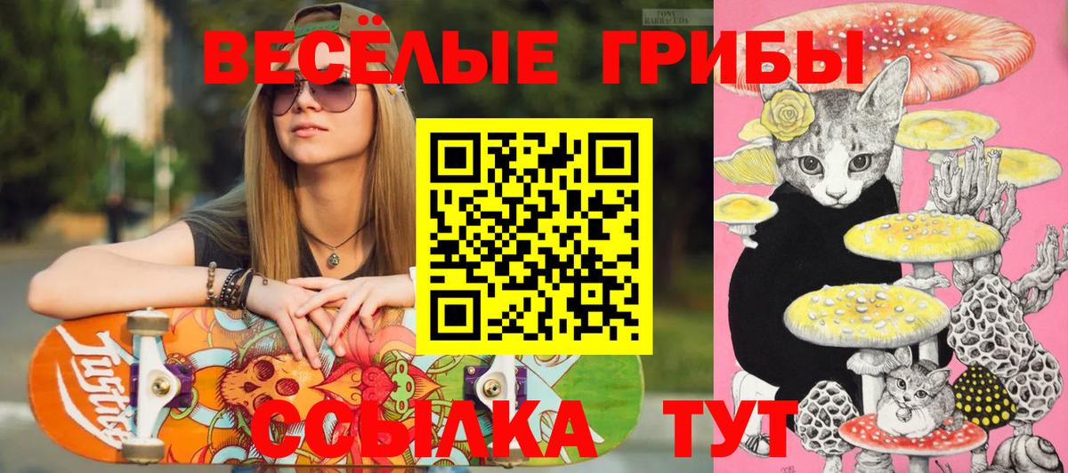 Псилоцибиновые грибы ЛСД Бийск